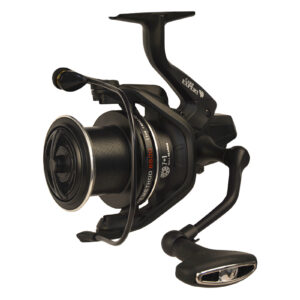 Alternative view of Mulineta Carp Expert Score Method 6500