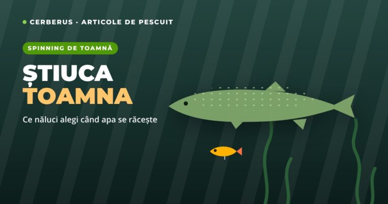 Știuca toamna – ce năluci alegi când apa se răcește
