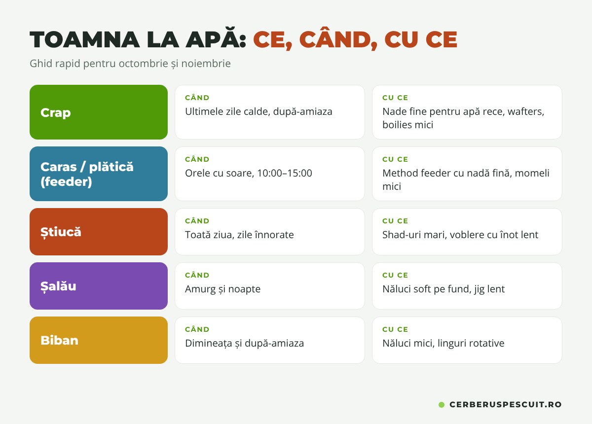 Infografic: ce pești prinzi toamna, când și cu ce momeli
